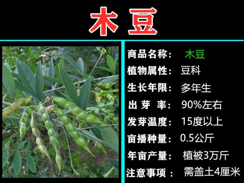 选购指南：如何挑选优质商品？